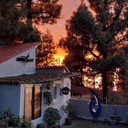 Casa Aguar: Acogedora Casa De Invitados En El Bosque Barrial Luaran gambar