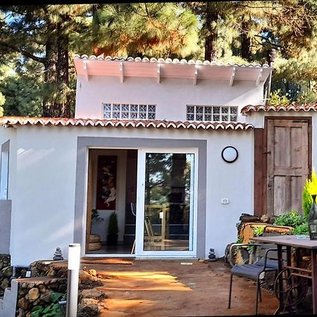 Casa Aguar: Acogedora Casa De Invitados En El Bosque Barrial Luaran gambar