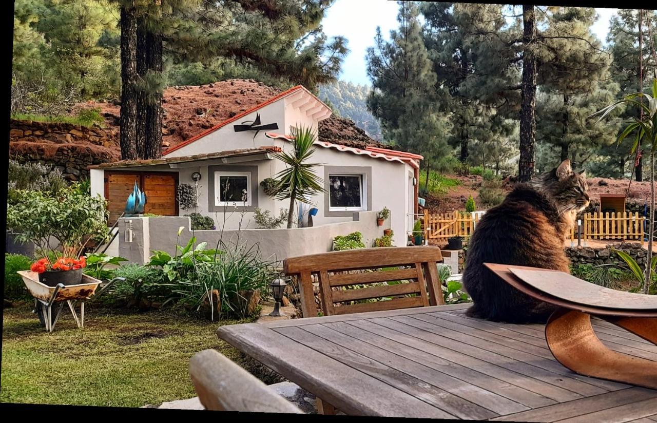 Casa Aguar: Acogedora Casa De Invitados En El Bosque Barrial Luaran gambar