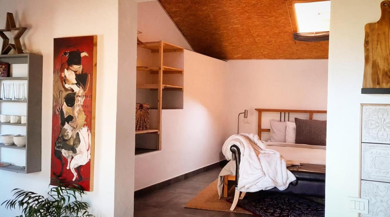 Casa Aguar: Acogedora Casa De Invitados En El Bosque Barrial Luaran gambar