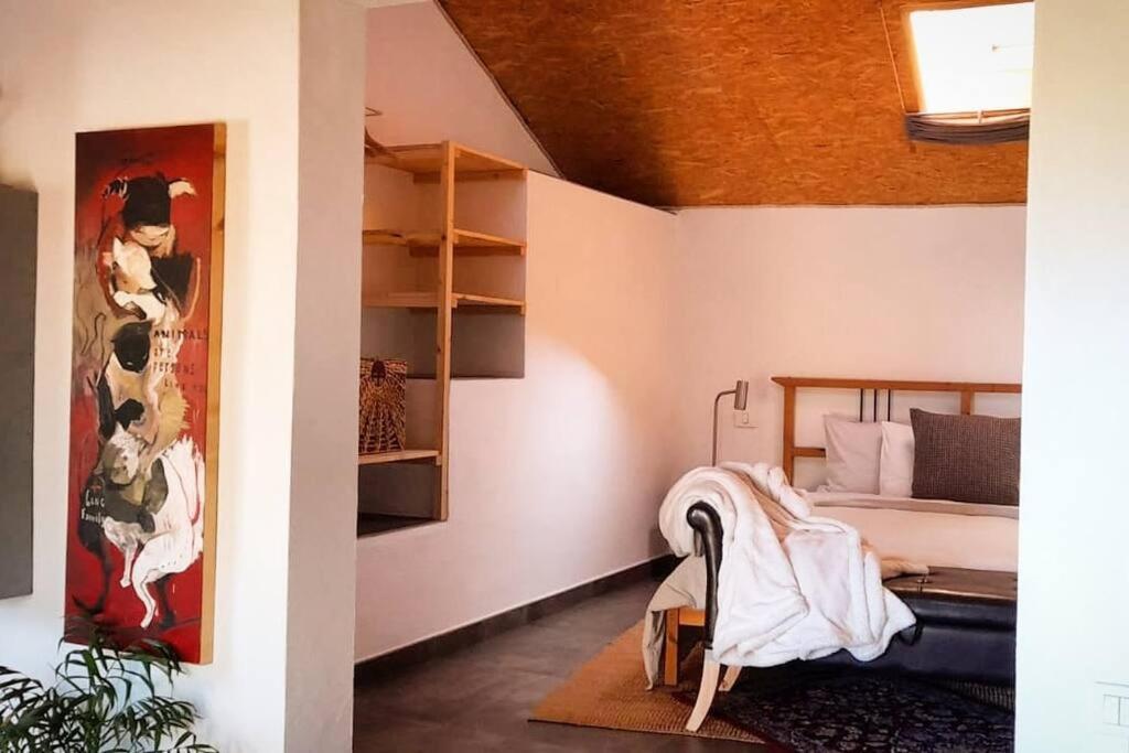 Casa Aguar: Acogedora Casa De Invitados En El Bosque Barrial Luaran gambar